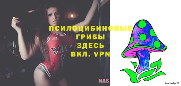 круглые Белокуриха