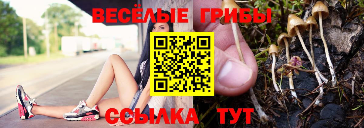 Верхний Уфалей  Галлюциногенные грибы ЛСД  Вход с VPN 